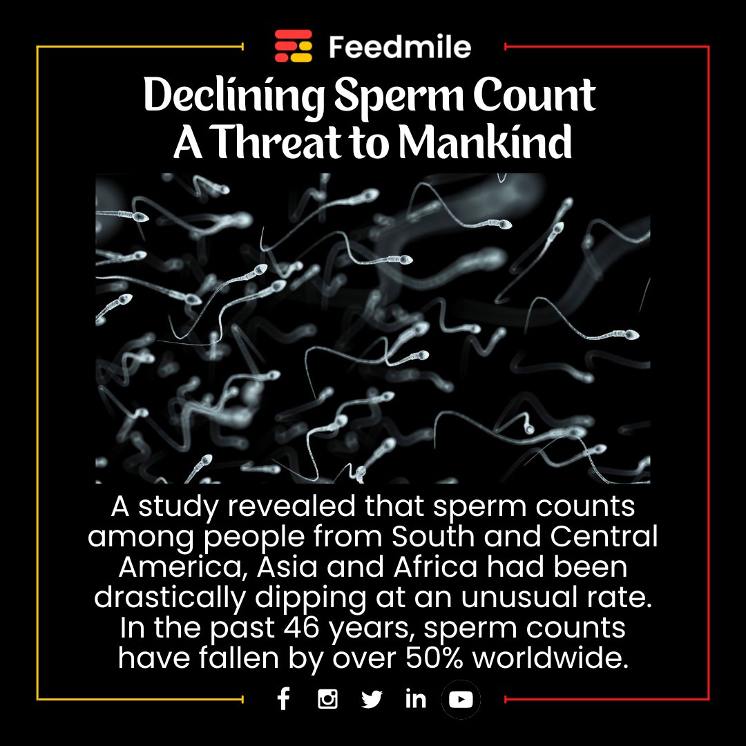 feedmileapp's tweet photo. The declining rate of global sperm count could be a Threat to humankind. It also points to an increased risk of testicular cancer, decreased lifespan and chronic diseases.
#feedmile #men #menfertility #semensignify #spermhealth #ejaculatoryduct #lowspermcount #spermcount https://t.co/bYRsLal2Rh