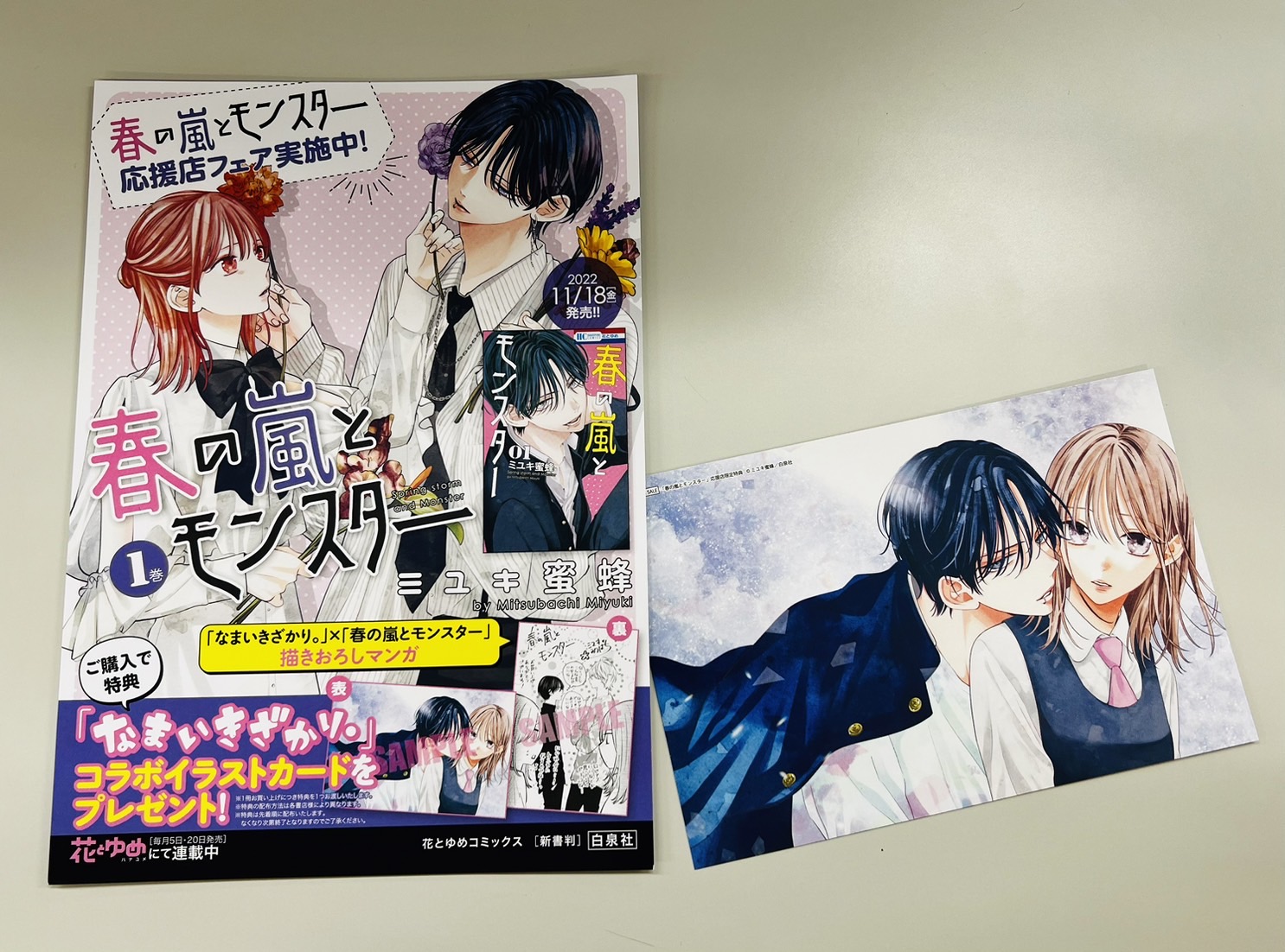 春の嵐とモンスター 2巻 メロンブックス 有償特典 アクリル
