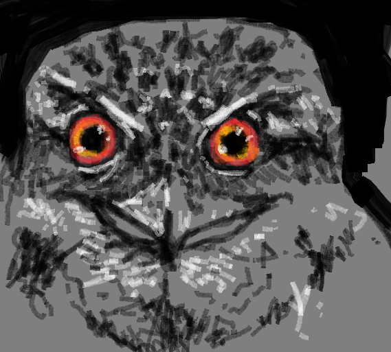 Piss_Couch's tweet photo. I FUCKING LOVE FROGMOUTHS THEY STARE WITH THE PASSION OF THE SUN AND ARE GODS GOOFIEST CREATURES BLESS THEM https://t.co/BNNNZKwShO