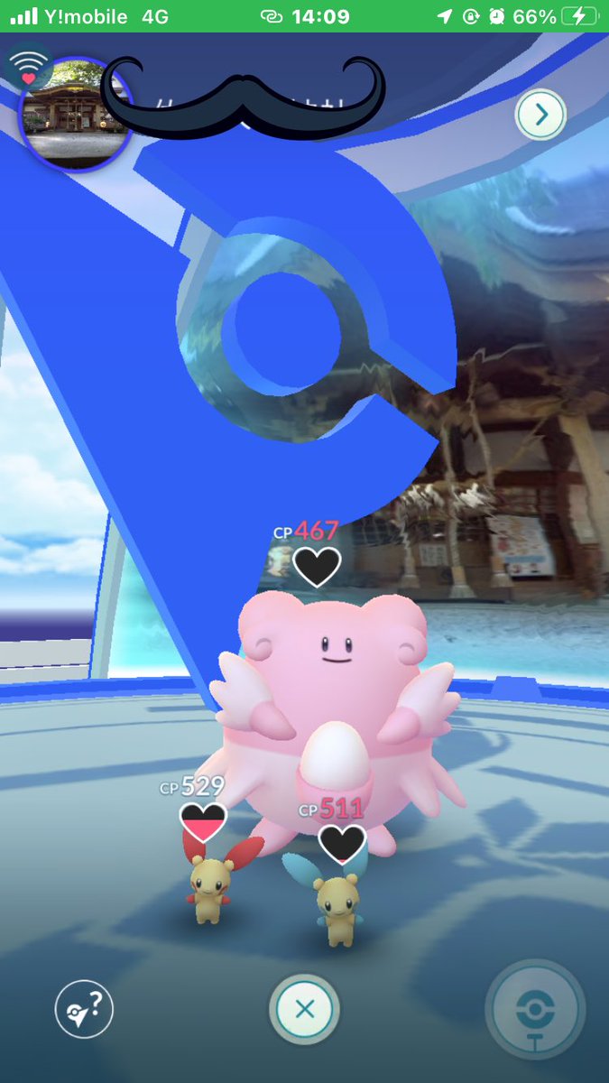 はる Spring Hal Twitter はる Spring Hal Twitter