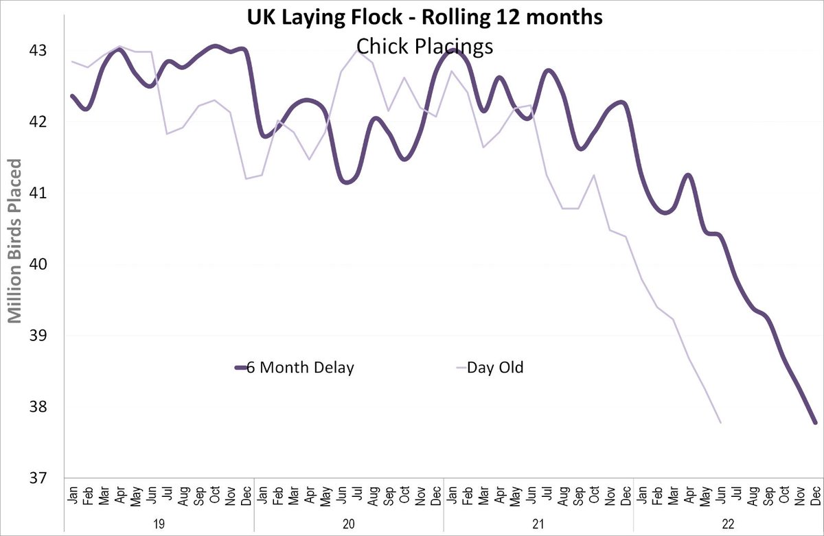 The real reason eggs are going to get shorter!!
The industry is in dire straits from supermarket lack of industry knowledge and bad management!! They are playing with the nations food security!!
<a href="/ArijLimam/">Arij</a> <a href="/ThatWelshFarmer/">Ioan Humphreys 🐑🐄🐓</a> <a href="/Mark_Spencer/">Sir Mark Spencer</a> #foodsecurity #EggShortage