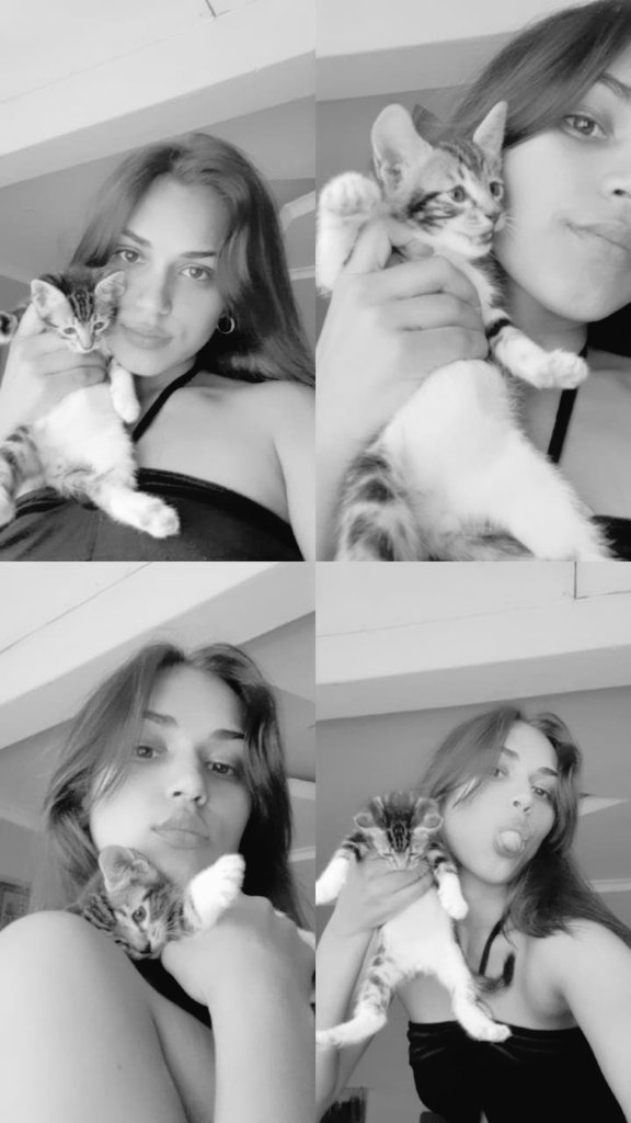 Kitties 💛💛💛