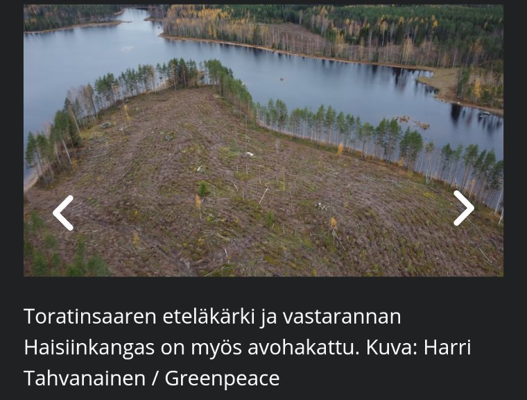 LuontoJussi's tweet photo. @niemi_karoliina @Tornator3 @metsateollisuus Tässä #Tornator hoitamaan metsää suojelualueeksi merkityssä metsässä. https://t.co/zRsBlv8qsi