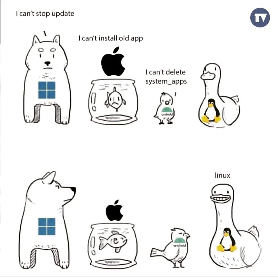 hackinarticles's tweet photo. Pic of the Day

#infosec #cybersecurity #cybersecuritytips  #pentesting #oscp #redteam  #informationsecurity  #cissp #CyberSec https://t.co/CVJc56AYk3