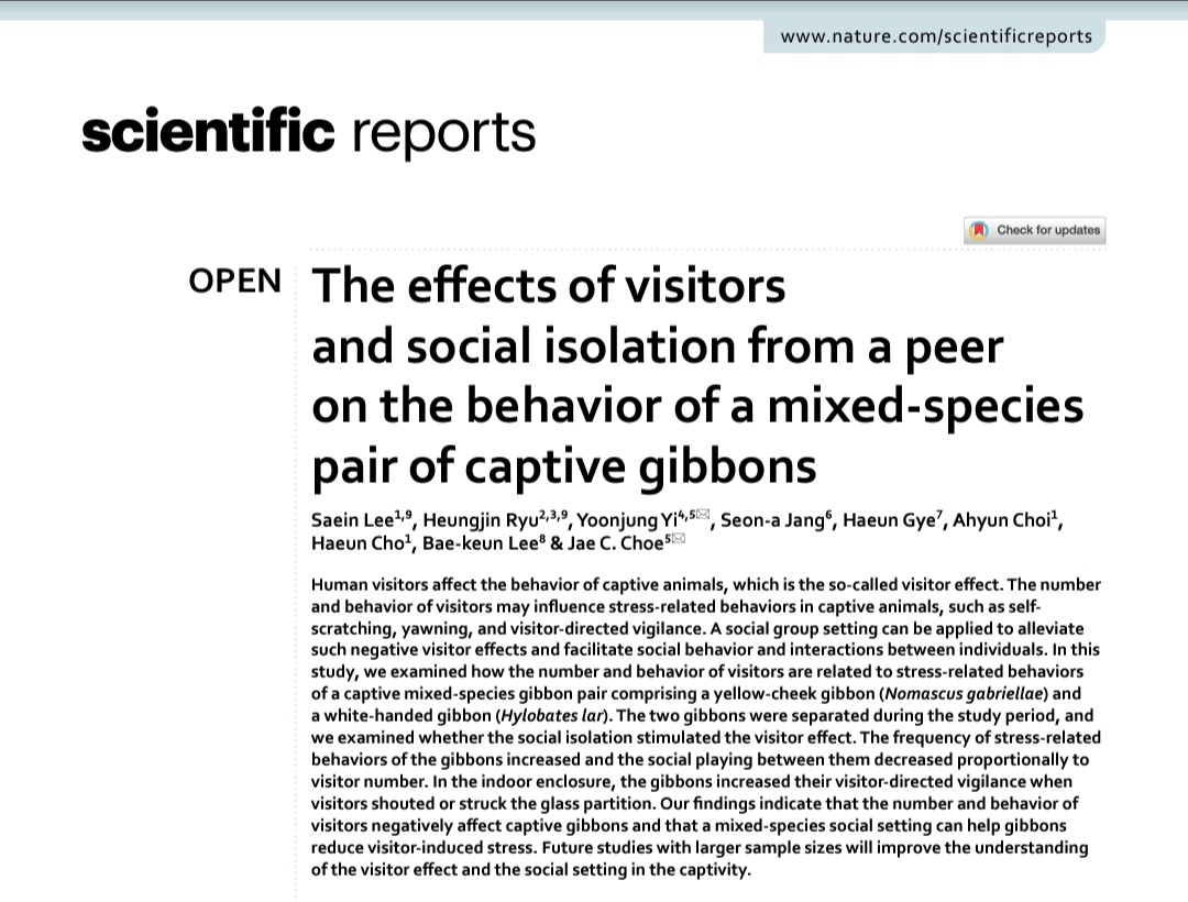 saeinleesocial's tweet photo. Just published 🎊
If you are interested in visitor effects and the importance of social setting or the influence of social isolation in captivr primates, our paper fits to your interest!
Any questions are welcomed!
#gibbon #primatology #socialsetting #socialinfluence https://t.co/WlHhIYBG1H