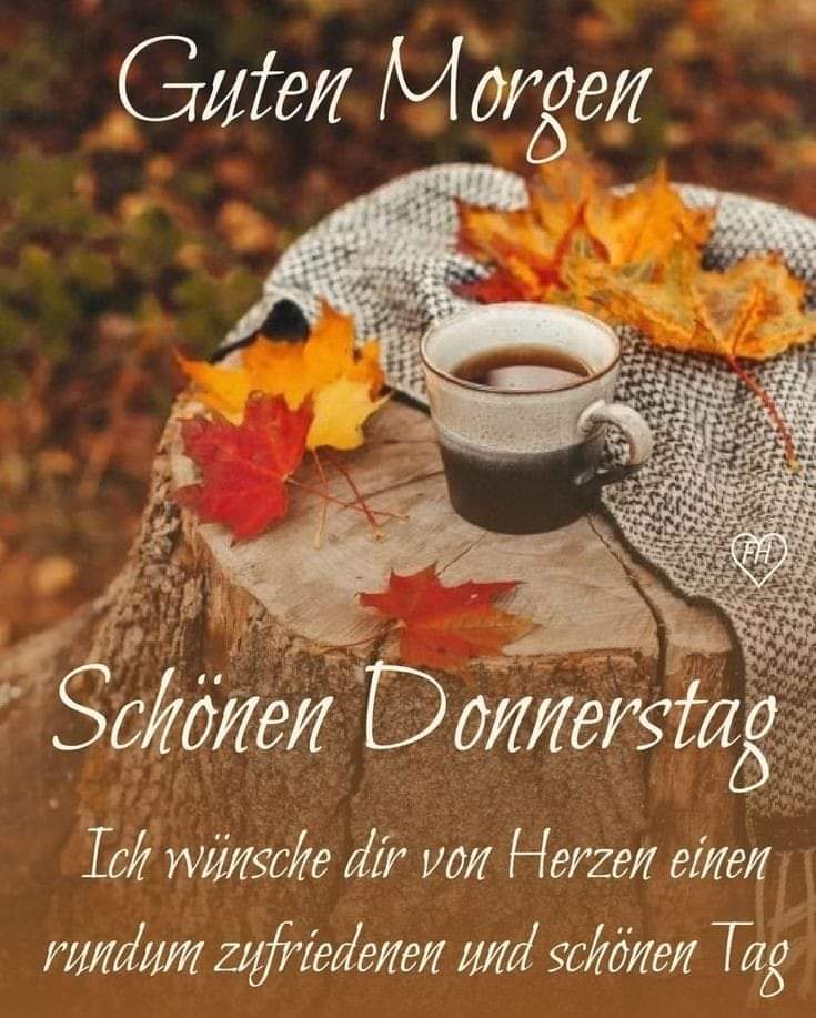 wollteich😉 (@ichnuric) on Twitter photo 