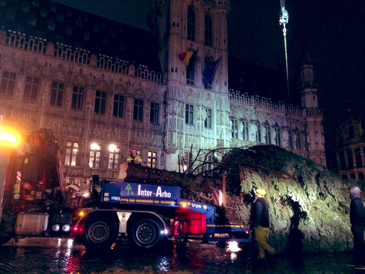 JulienRENSONNET's tweet photo. 🌲 Le #sapin de Raeren est arrivé sur la Grand-Place de #Bruxelles. @lavenir_net #bxl 🌲 https://t.co/EbIidL6PiQ