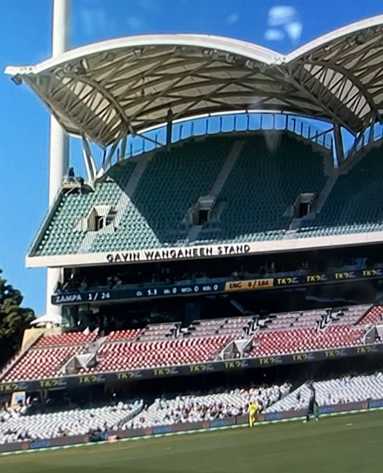 BUZZ ROTHFIELD tweet media