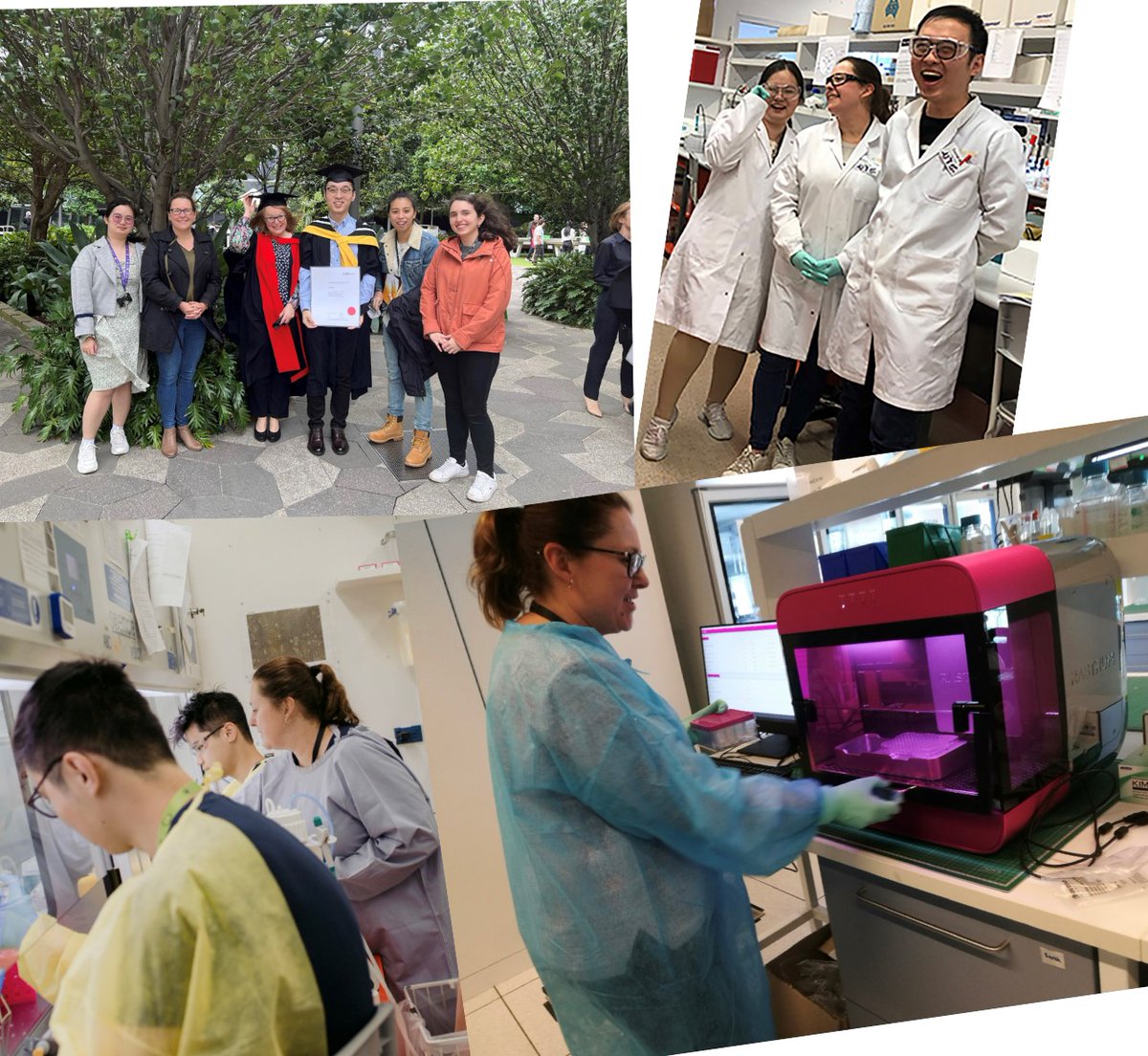 Prof Deborah Marsh (@djmarsh24) on Twitter photo A postdoc position is available in our group to work on 3D models of ovarian cancer funded by #CCNSW (INOVATe collaboratively with <a href="/annapoids/">Anna DeFazio-Poidevin</a>) & #MRFF (drug repurposing collaboratively with <a href="/nikolabowden/">Prof Nikola Bowden</a> <a href="/DrCFord/">Prof Caroline Ford</a> <a href="/jenhelenmar/">Jennifer Martin - Physician and Board Director</a>) Closes Dec 8th #ovariancancer seek.com.au/job/59230962?t… A postdoc position is available in our group to work on 3D models of ovarian cancer funded by #CCNSW (INOVATe collaboratively with <a href="/annapoids/">Anna DeFazio-Poidevin</a>) & #MRFF (drug repurposing collaboratively with <a href="/nikolabowden/">Prof Nikola Bowden</a> <a href="/DrCFord/">Prof Caroline Ford</a> <a href="/jenhelenmar/">Jennifer Martin - Physician and Board Director</a>) Closes Dec 8th #ovariancancer seek.com.au/job/59230962?t…