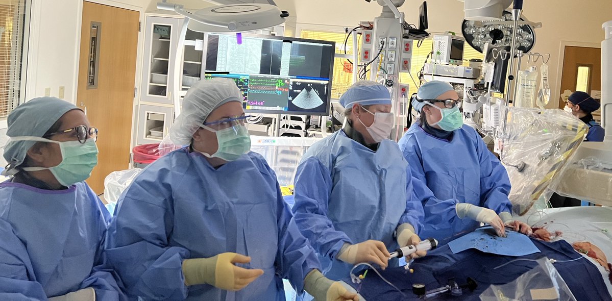 A @ProvHealth first: all female #TAVR team today! Well done @loganlvincent @swansmiles and Dr Carly Guthrie