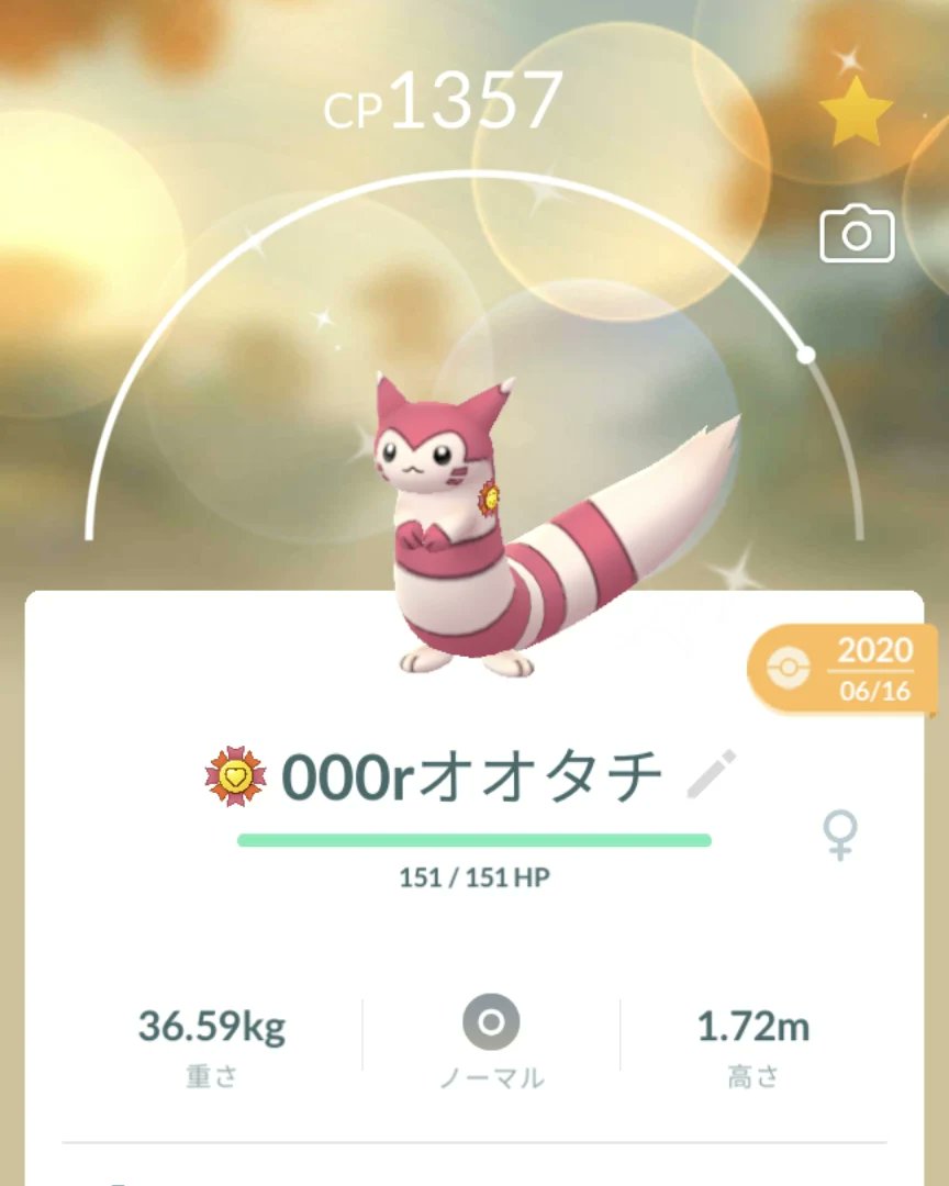 オオタチ Twitter Search Twitter