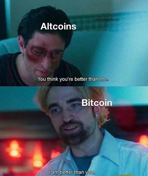 Jackson Jones tweet media