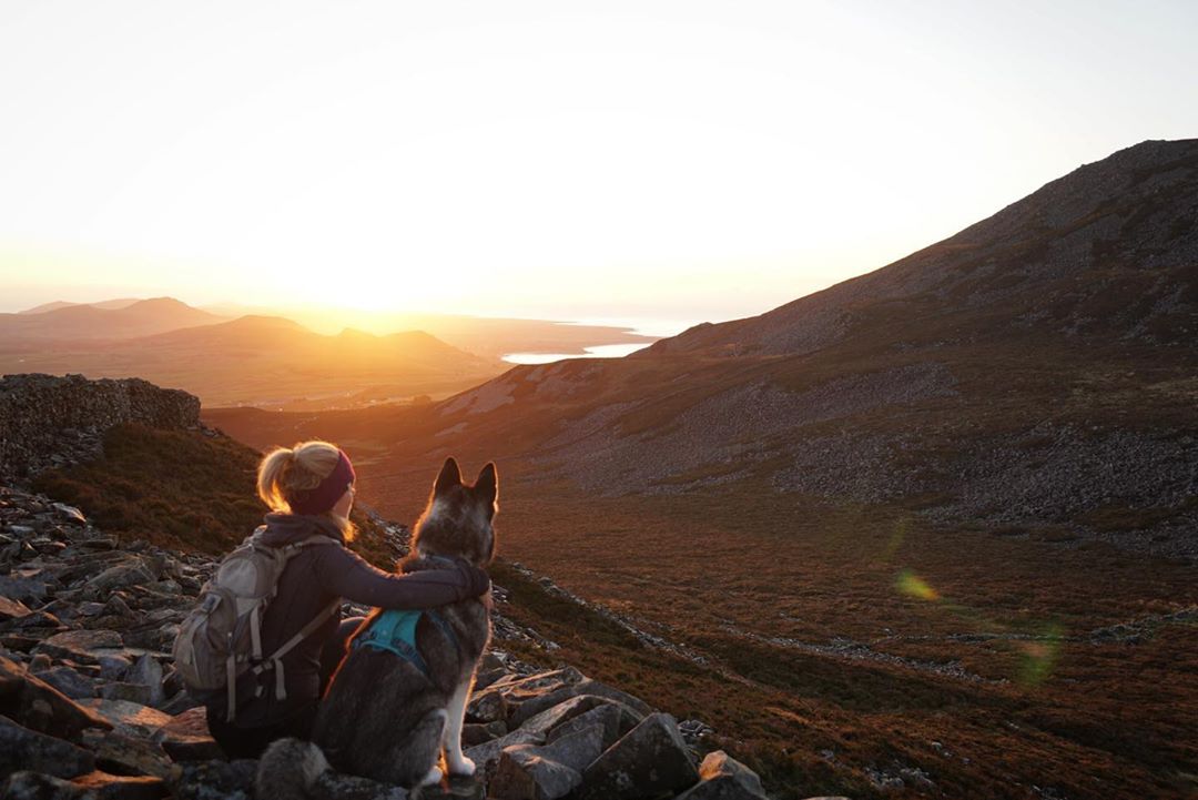 FINDRAclothing's tweet photo. Sharing a moment, making an effort to catch a sunrise or sunset, is always worth it, especially if shared with our four-legged friends.
#FINDRAclothing #FINDRAmerino #getoutdoorsmore #outdoors #running #merinowool #mountainbike #hike #sunset #goldenhour https://t.co/q7qxCAONJf