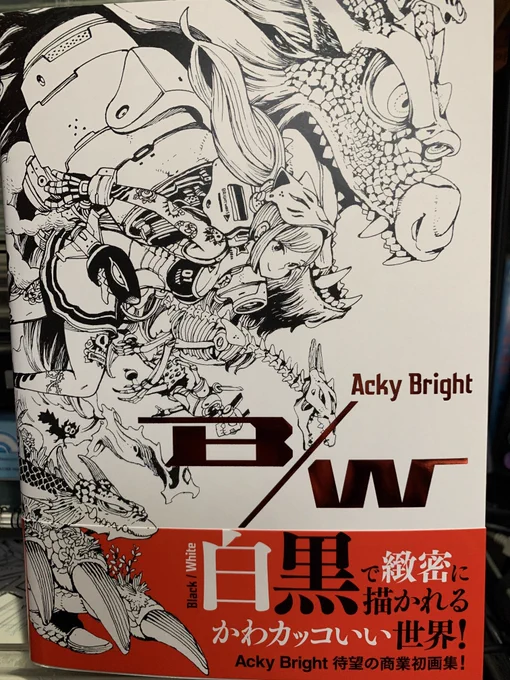 Acky Bright さんの画集来た!
これは濃密だね〜。
超見応えある。 