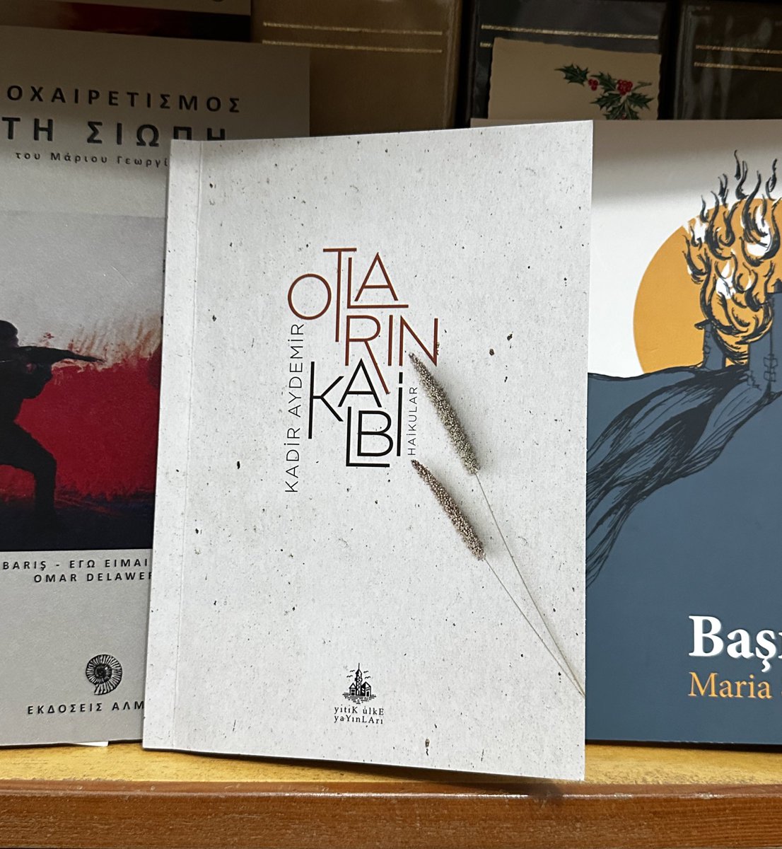kadiraydemir77's tweet photo. Kitap için en güzel ev bir kütüphanedir. Orada uzun bir uyku bekler onu. @haikuagaci https://t.co/pA26sTWImX