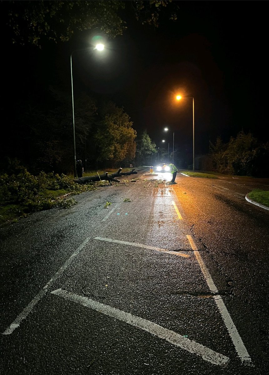 NSRAPT's tweet photo. Overnight a substantial tree came down blocking Main Road #Kesgrave 
Some time later, using a bow saw, it was cleared by #PHQRPU #AllInANightsWork #Pc1202 #Pc179 #Pc433 https://t.co/3etplfzQIq