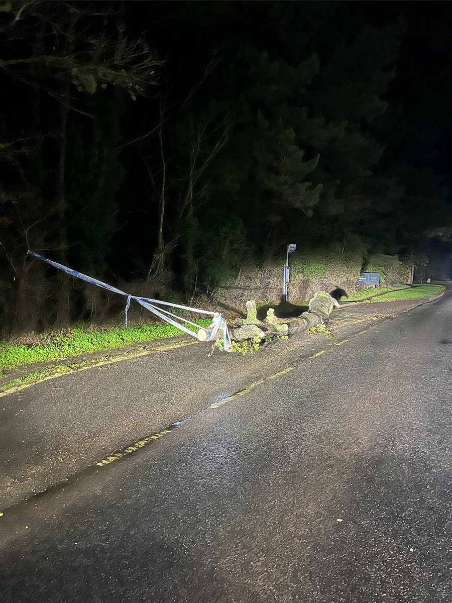 NSRAPT's tweet photo. Overnight a substantial tree came down blocking Main Road #Kesgrave 
Some time later, using a bow saw, it was cleared by #PHQRPU #AllInANightsWork #Pc1202 #Pc179 #Pc433 https://t.co/3etplfzQIq