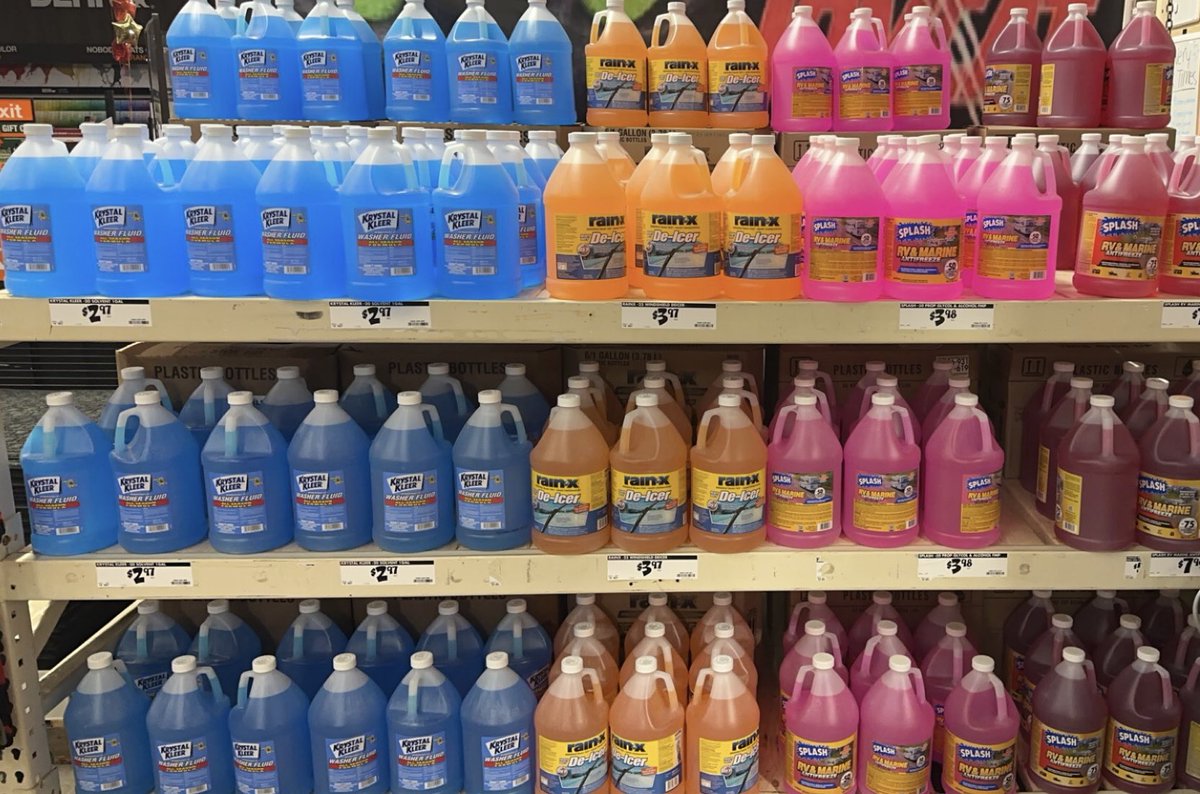 Jessie Perkins tweet media