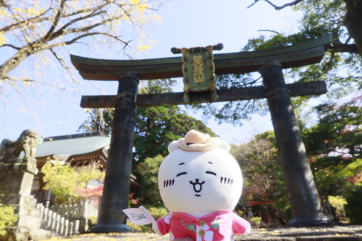 🐹キャーハハッ！ 🐱ええッ！なになにッ！立派な鳥居だねッッ！！ 🐰ヤハ！