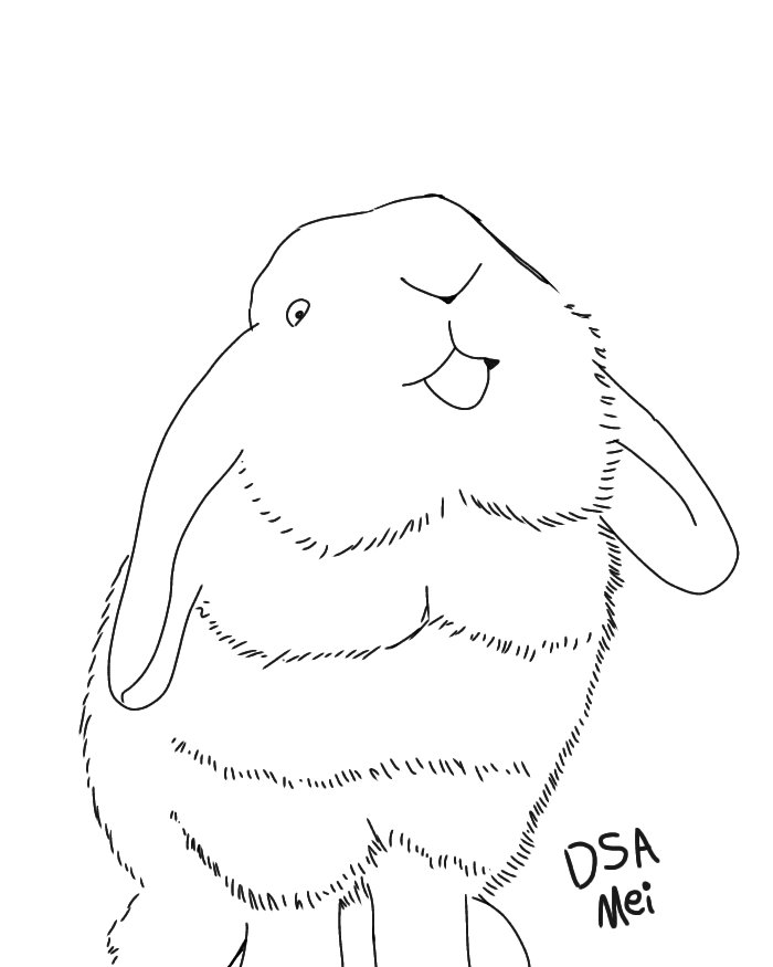 DSAMei_art's tweet photo. ✩ Playful Bunny 🐇🐰
═══════ஓ๑♡๑ஓ═══════
 #digitalart #artist #illustration  #artistontwitter #protait #animal #graphicdesign #bunny #playful #rabbit
═══════ஓ๑♡๑ஓ═══════
♡ https://t.co/83DoJE1ICm