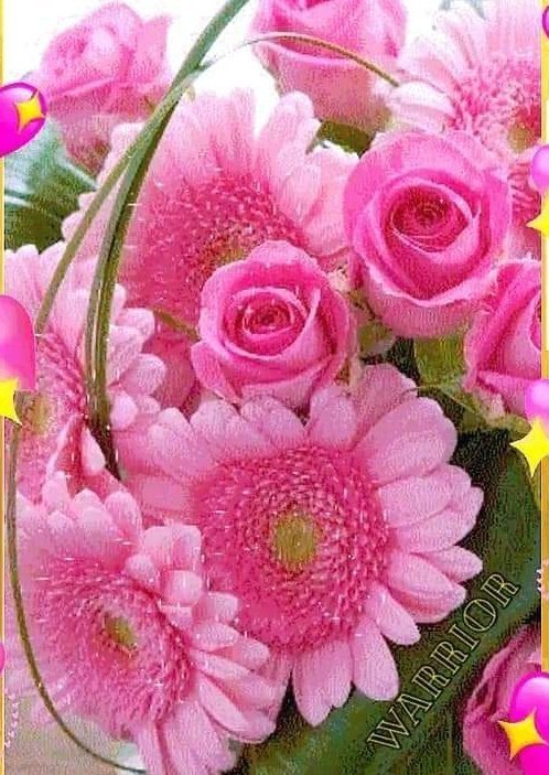 NajmBrjs's tweet image. Desejamos que seu amor esteja associado ao casamento, para que vivam juntos felizes e eternamente