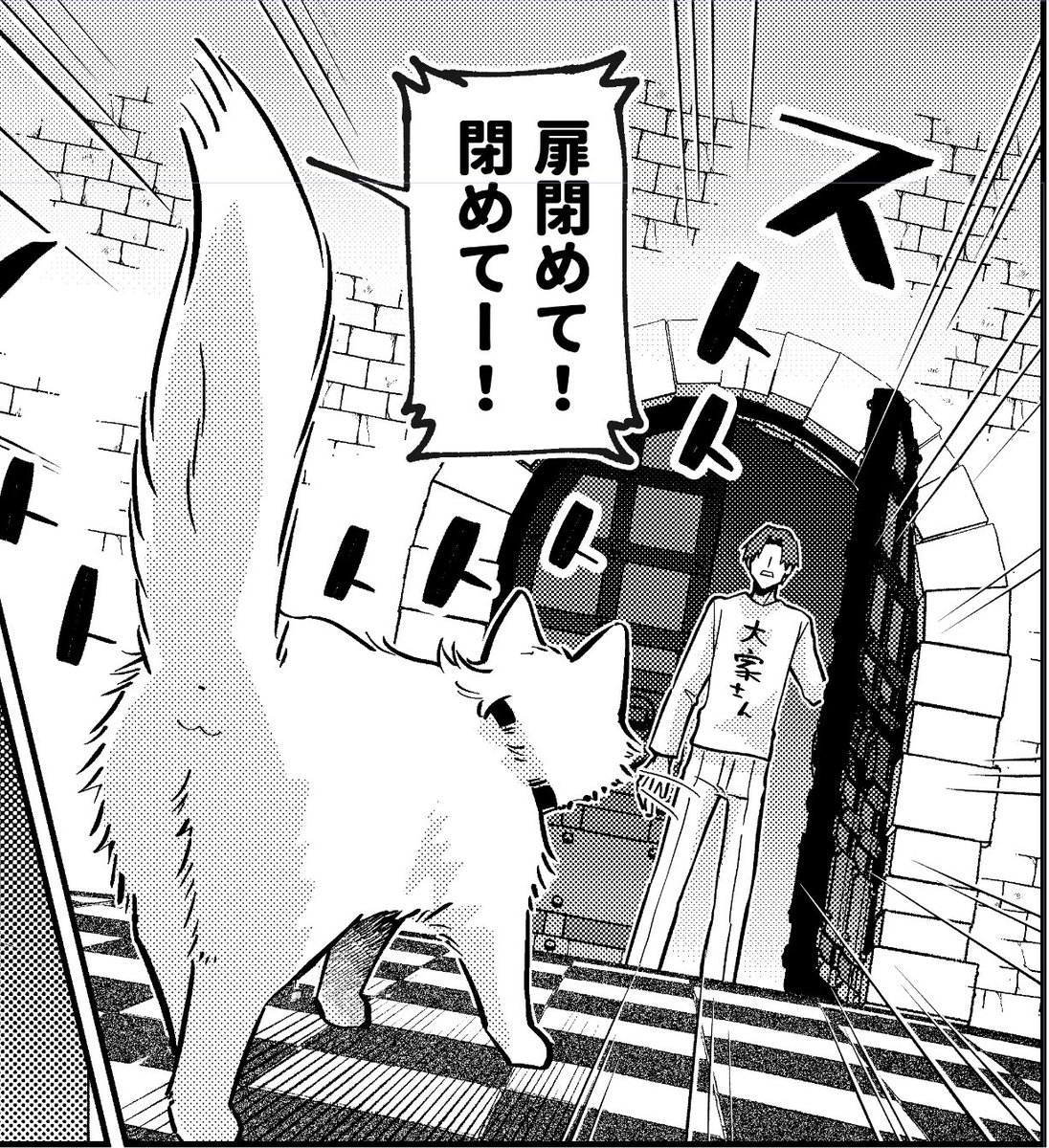 ヌンチョク=^・ω・^= 