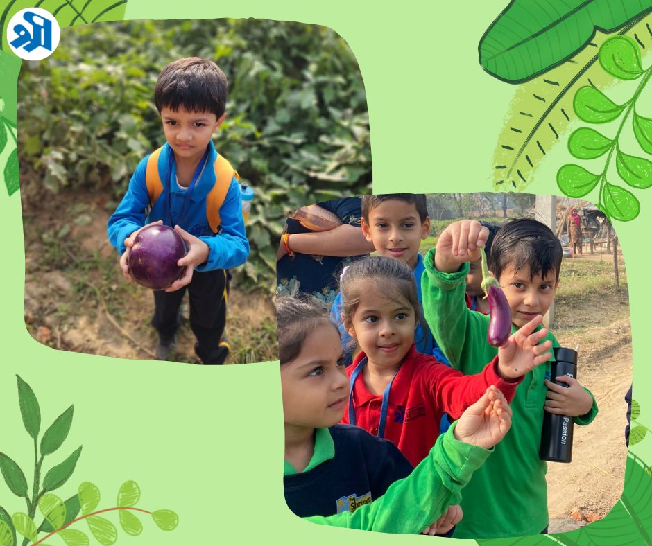 FaridabadTsms's tweet photo. #TSMS #TSMSF #TheShriramMillenniumSchool 
#Faridabad #VisitToTheFarm #AnkurToClassI
#ExperientialLearning https://t.co/vFRZs6UAKL