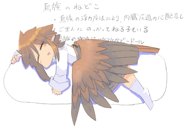 鳥族の寝衣はスケスケベビードール 