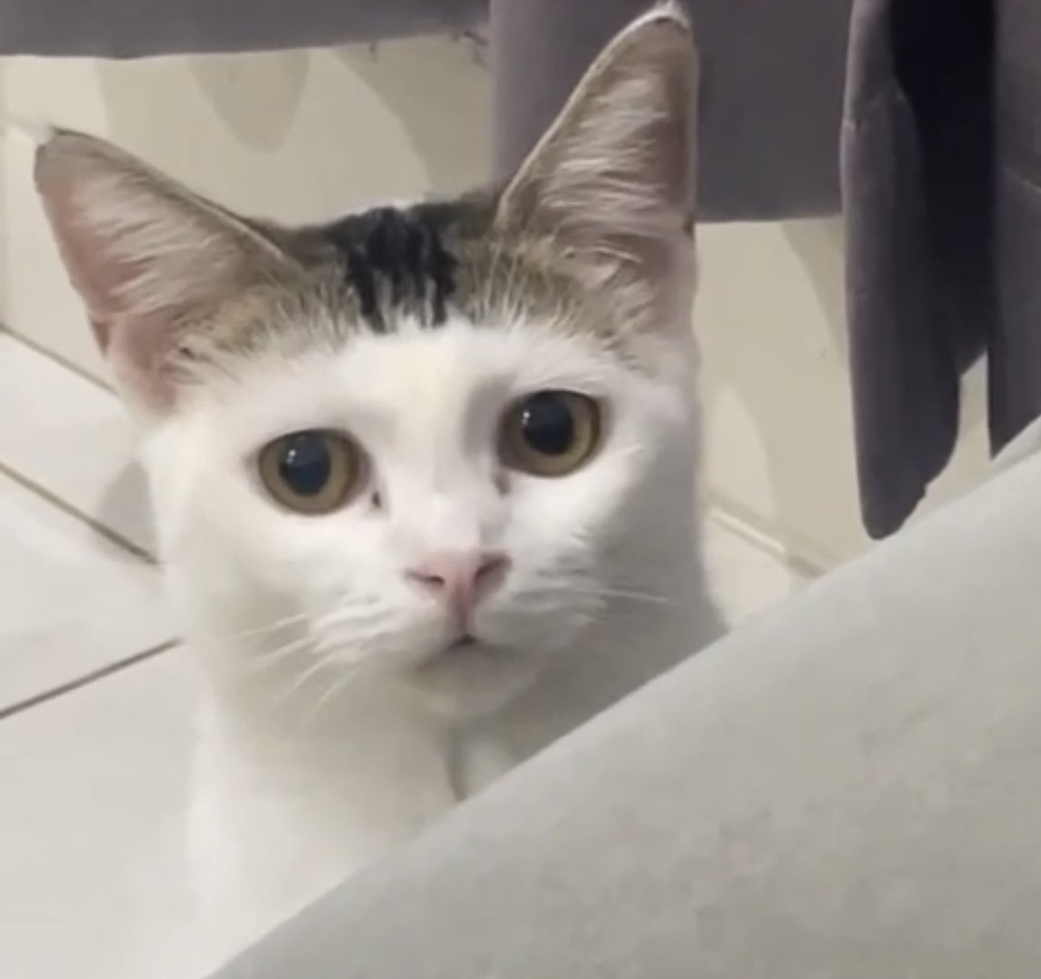 Tolong meng aku gemas bgt asdfghjkpwbqg#*%{^+