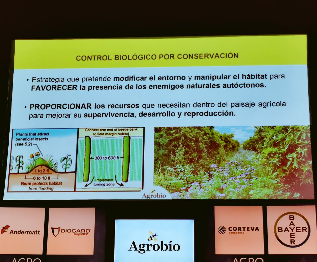Ana Rubio tweet media