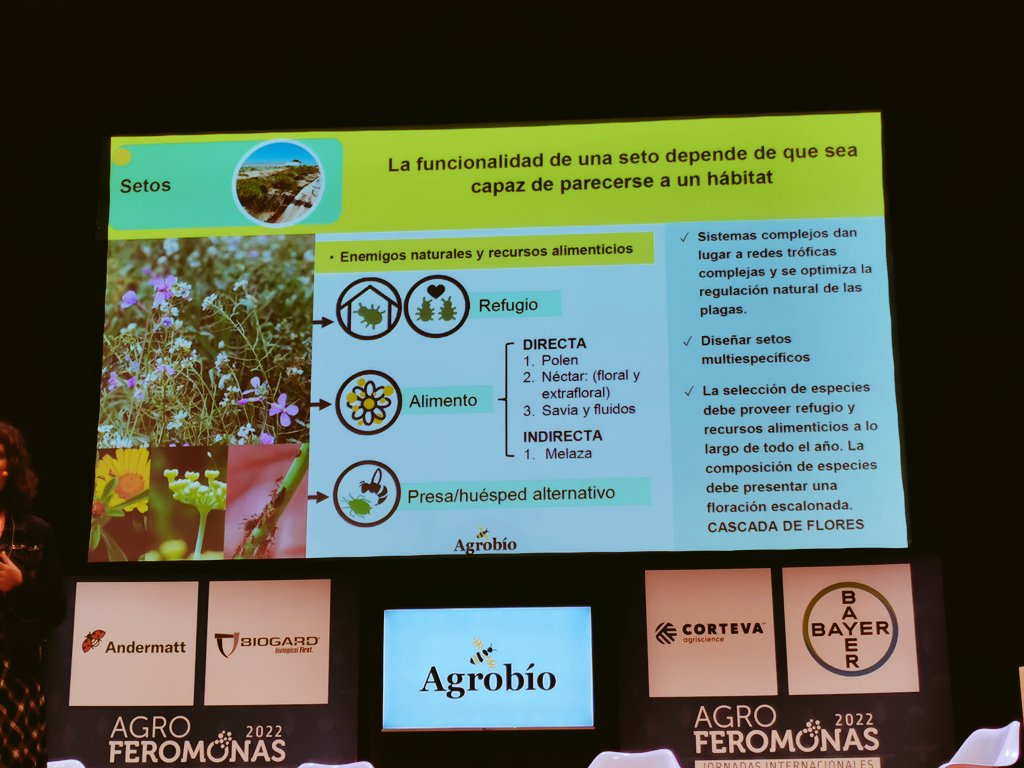 🗣️Mónica González <a href="/AgrobioSL/">Agrobio S.L.</a> desarrolla el nuevo concepto de intensificación #ecológica: #controlbiologico (antagonismos) y con #micorrizas y #mizobacterias (mutualismo). Hacia un manejo más #agroecológico. Hoy en la segunda jornada de #Agroferomonas2022

<a href="/agroferomonas/">Agroferomonas</a>

#agro