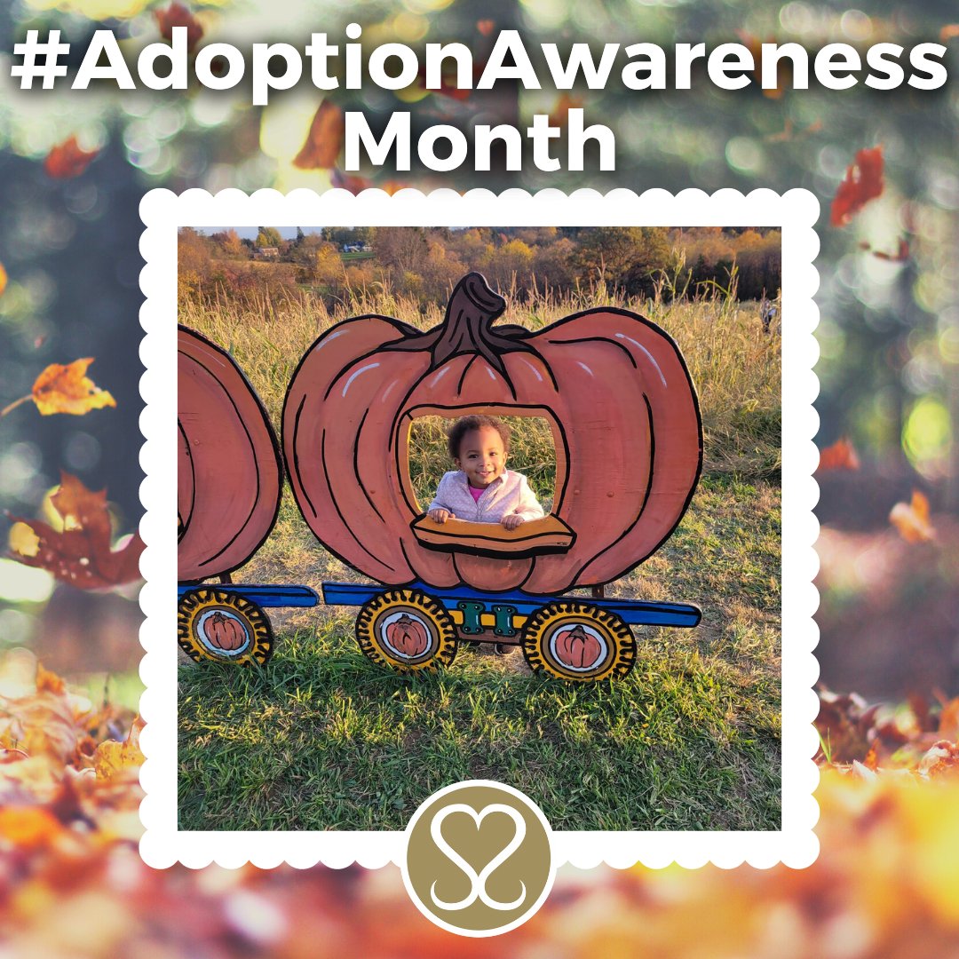 Sacred Selections tweet media