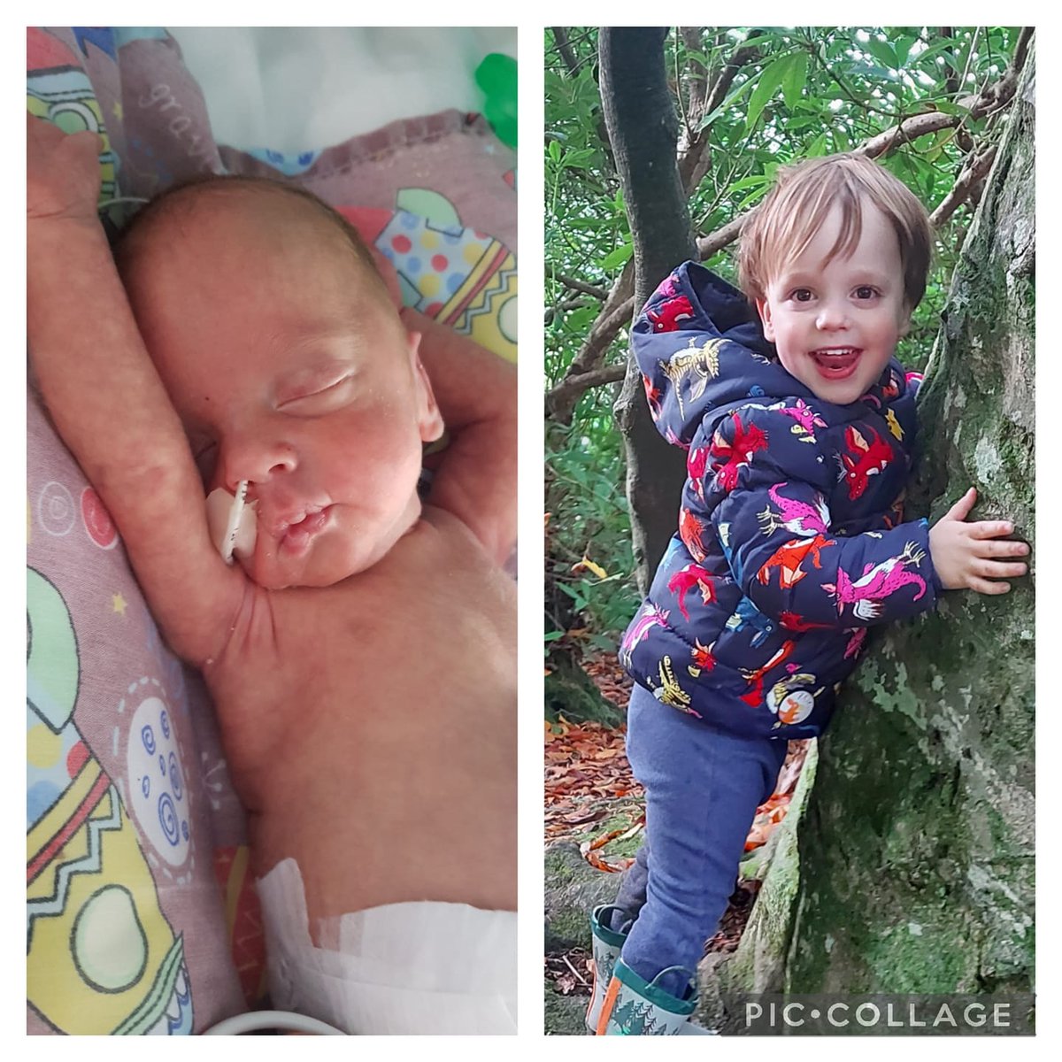 Amy SNUG tweet media