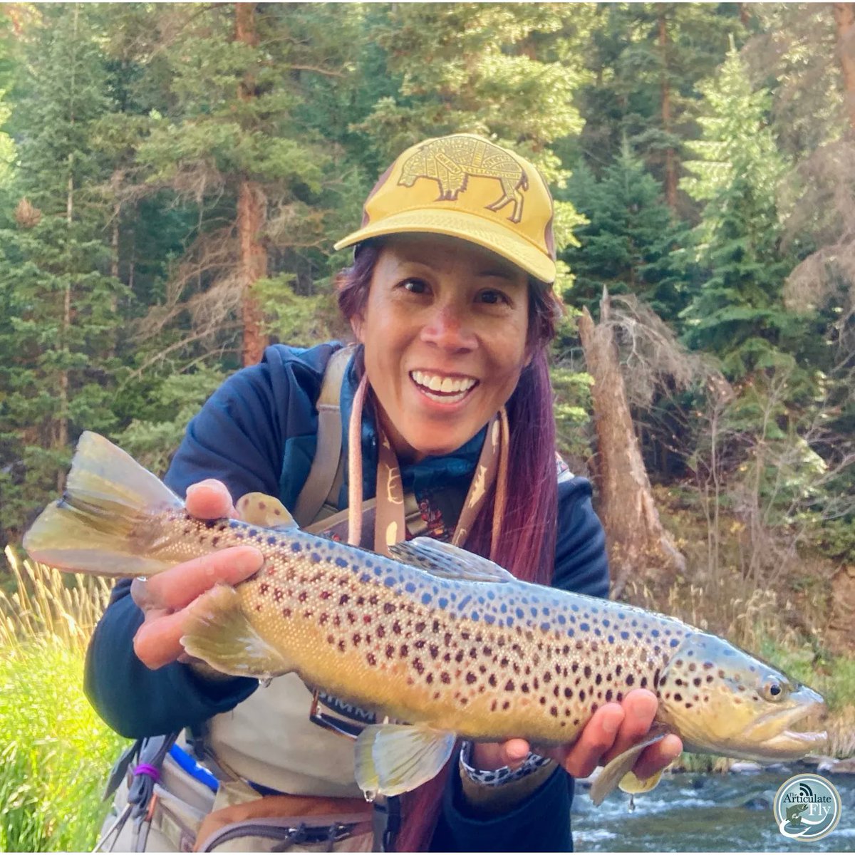 Articulate_Fly's tweet photo. Episode 590: Cat Toy of @BlueQuillAngler
Cat shares her fly fishing journey and how she went from novice angler to Blue Quill guide in only a few years.  Give it a listen!  Thanks to this episode's sponsor, @norvise
https://t.co/8AQVkIu2d4
#girlswhoflyfish #onthefly #flyfishing https://t.co/GzuzZKt7EY