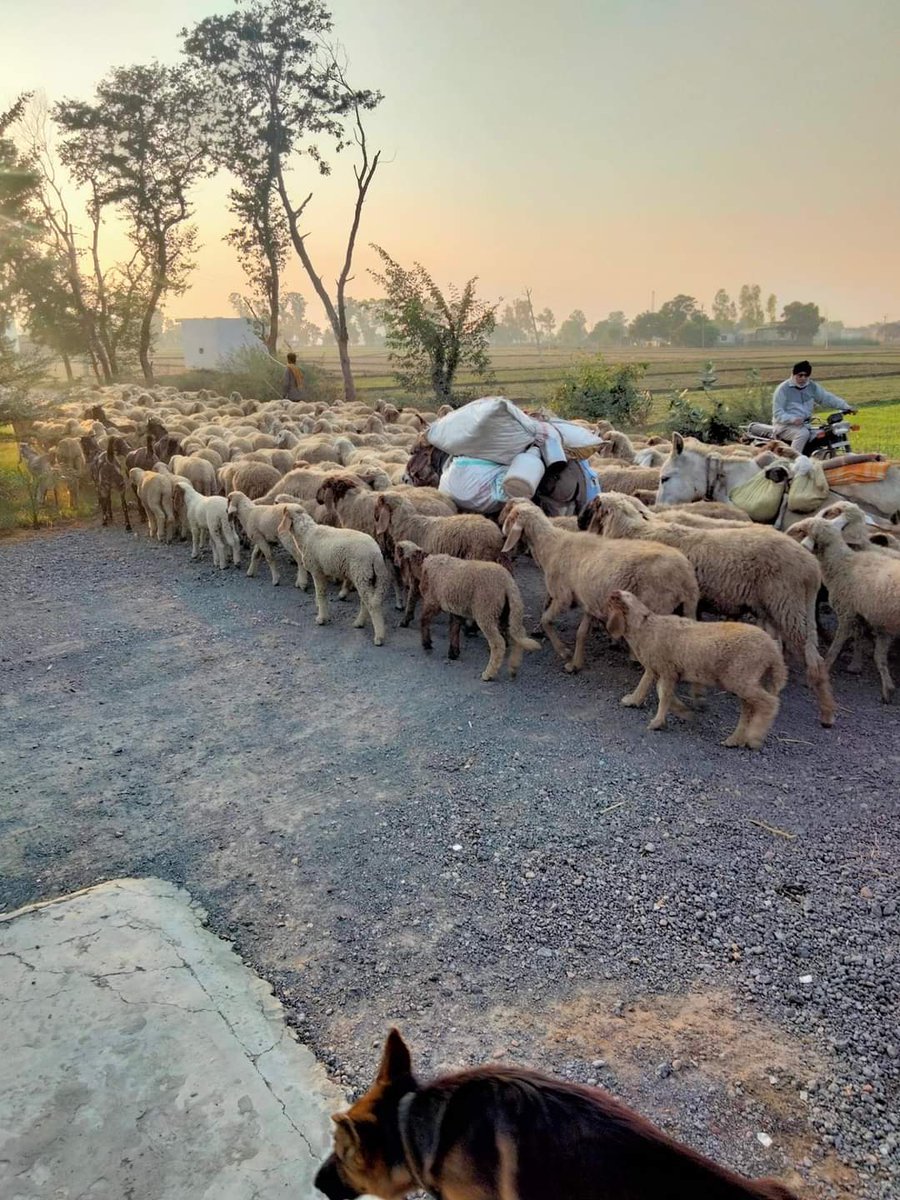 ਸਾਰੇ ਦੱਸੋ ਇਹ ਕੌਣ ਨੇ ਤੇ ਕਿੱਥੇ ਚੱਲੀਆ 😂😂😂😂