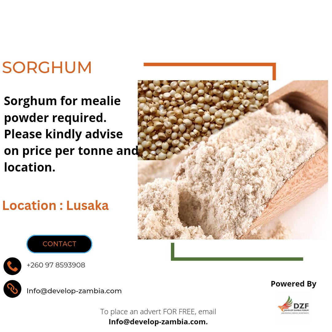 DevelopZForum's tweet photo. SORGHUM for mealie powder required. Please advise on price per tonne, quantity and location.

For details, contact – 097 8593908 or
Email - Info@develop-zambia.com 

#advertising #advertisements #dzf #dzfupdates

Place an advert with #DZF for free - email Info@develop-zambia.com https://t.co/ewlUYHoUU7