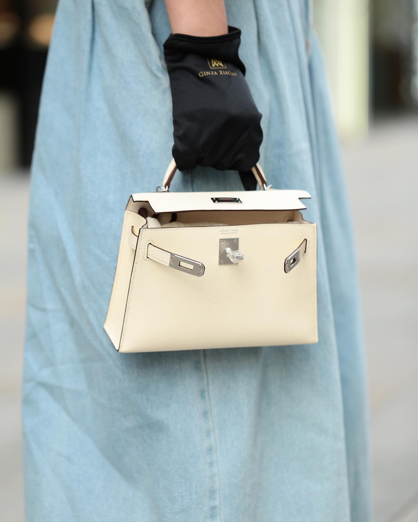 BirkinPlus BirkinPlus X
