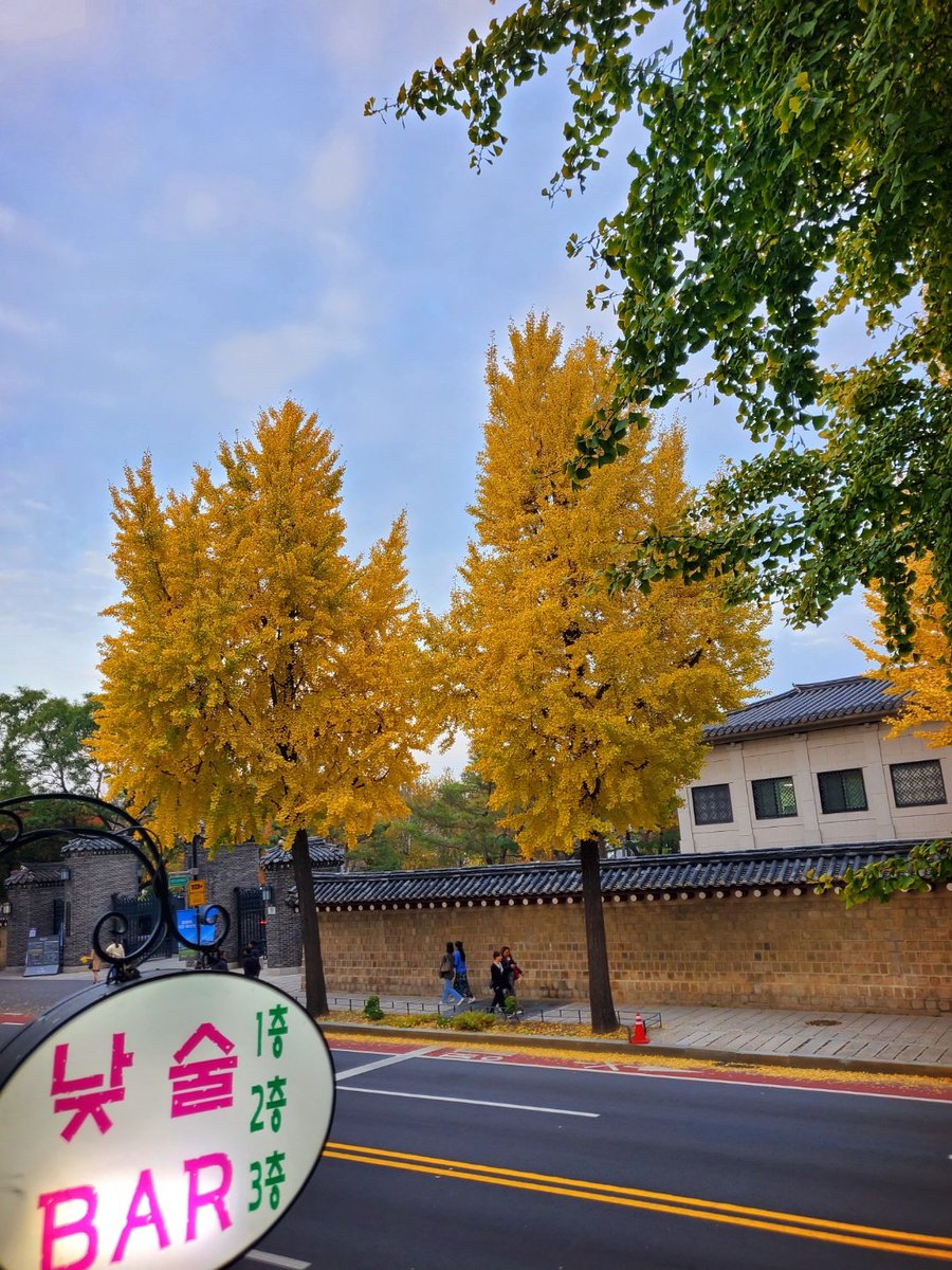 kimgs0402's tweet photo. 침니펍에서 경복궁 돌담길을 보면서 낮 술

#침니펍 #서촌펍 #서촌술집 #서촌낮술 #서촌단체펍 #경복궁술집 #경복궁낮술 #경복궁펍 #경복궁단체펍 #경복궁낮술 #경복궁분위기좋은펍 #서촌분위기좋은펍 #서촌칵테일 #경복궁칵테일 https://t.co/i2Q59VMmpa