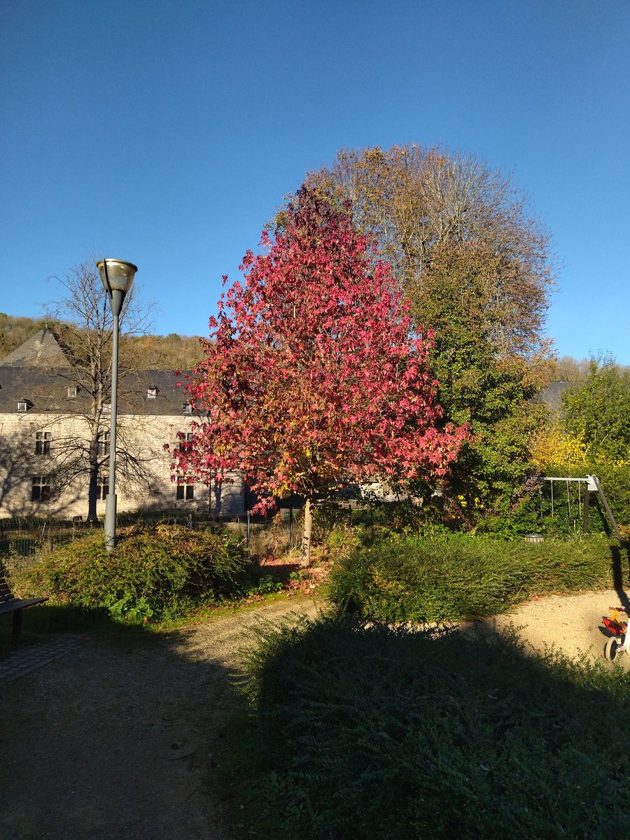 Bonne Journée A TOUS.