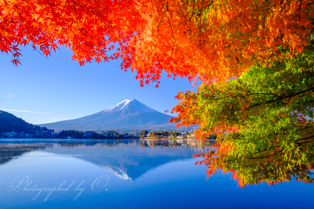 紅葉がラストスパートの河口湖です❣