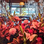 ツイートに含まれる画像