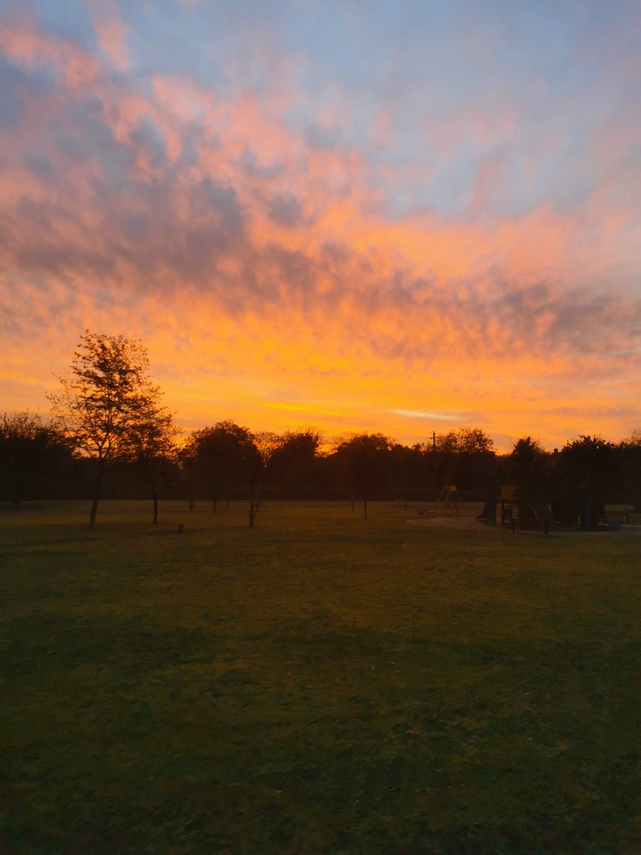 Filippo Menotti tweet media