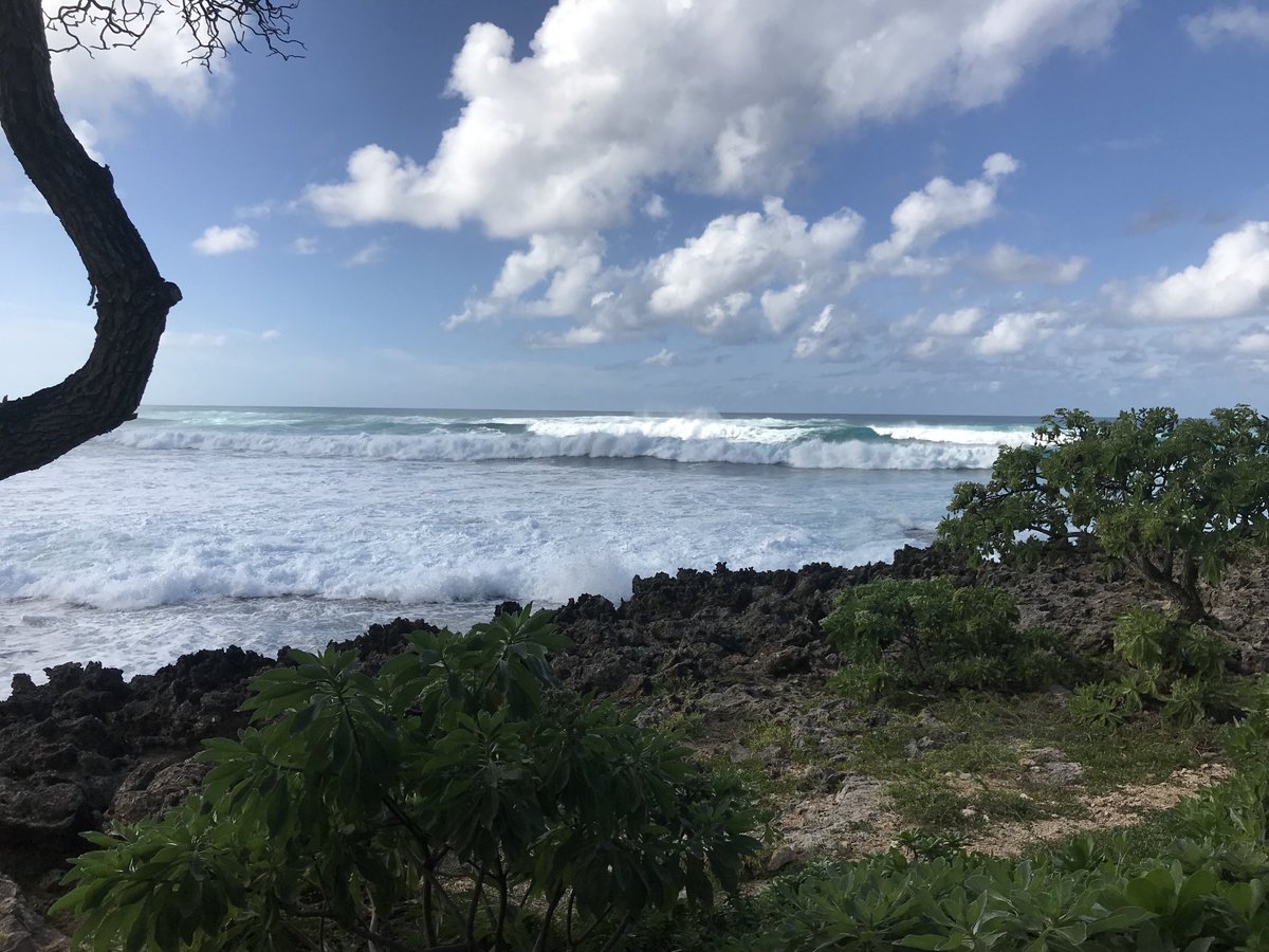 Another huge surf day #Turtlebay