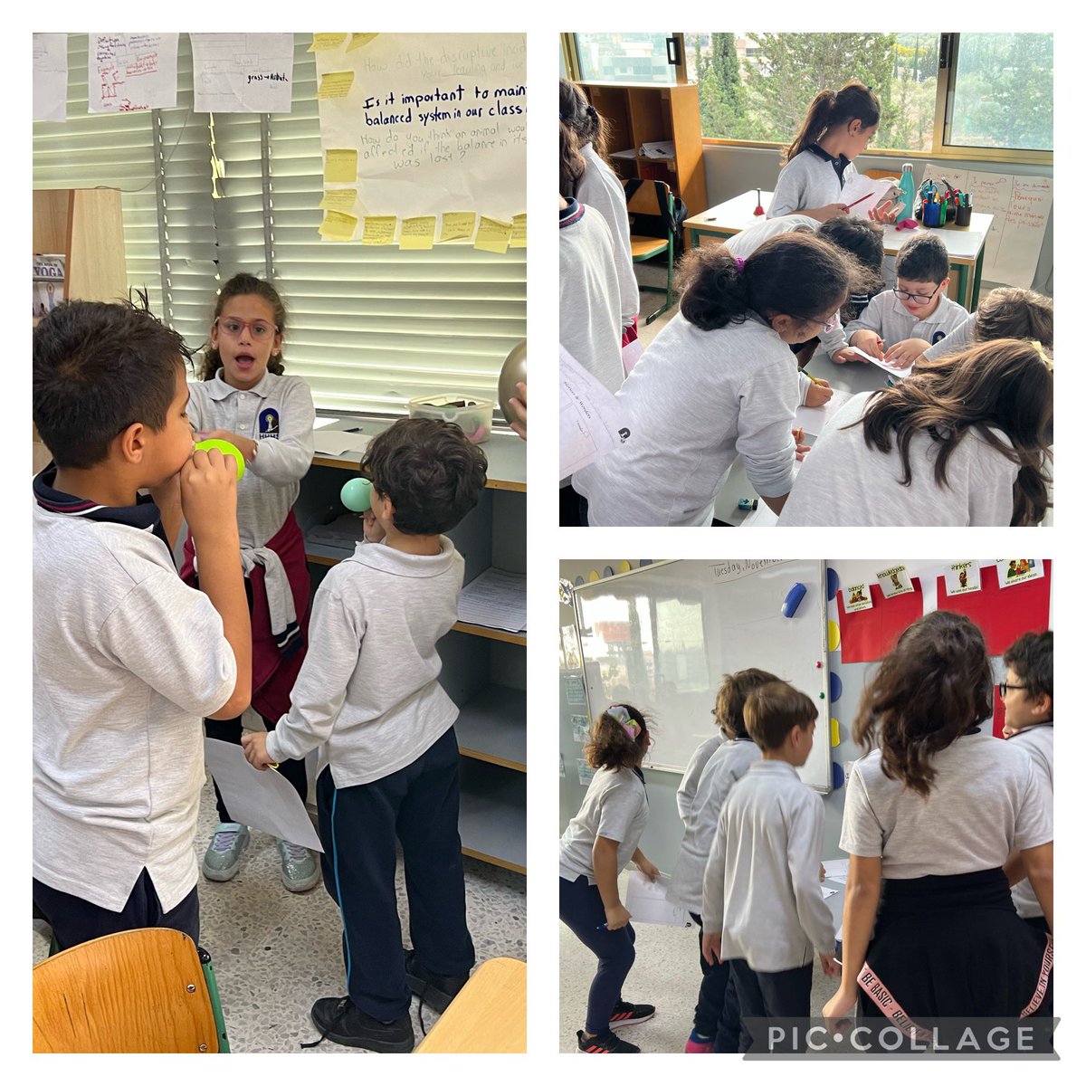 Grade 4 learners used 3 stations in the class where they had to jump up and down for 30 seconds, eat a biscuit, and blow a balloon. At the end, they filled “Notices and Wonders” thinking tool and guessed what the new unit is about. #provocation #WhoWeAre <a href="/Hhhsinfo/">Houssam Hariri HS</a> <a href="/TawilNoor/">Noor Taweel</a>
