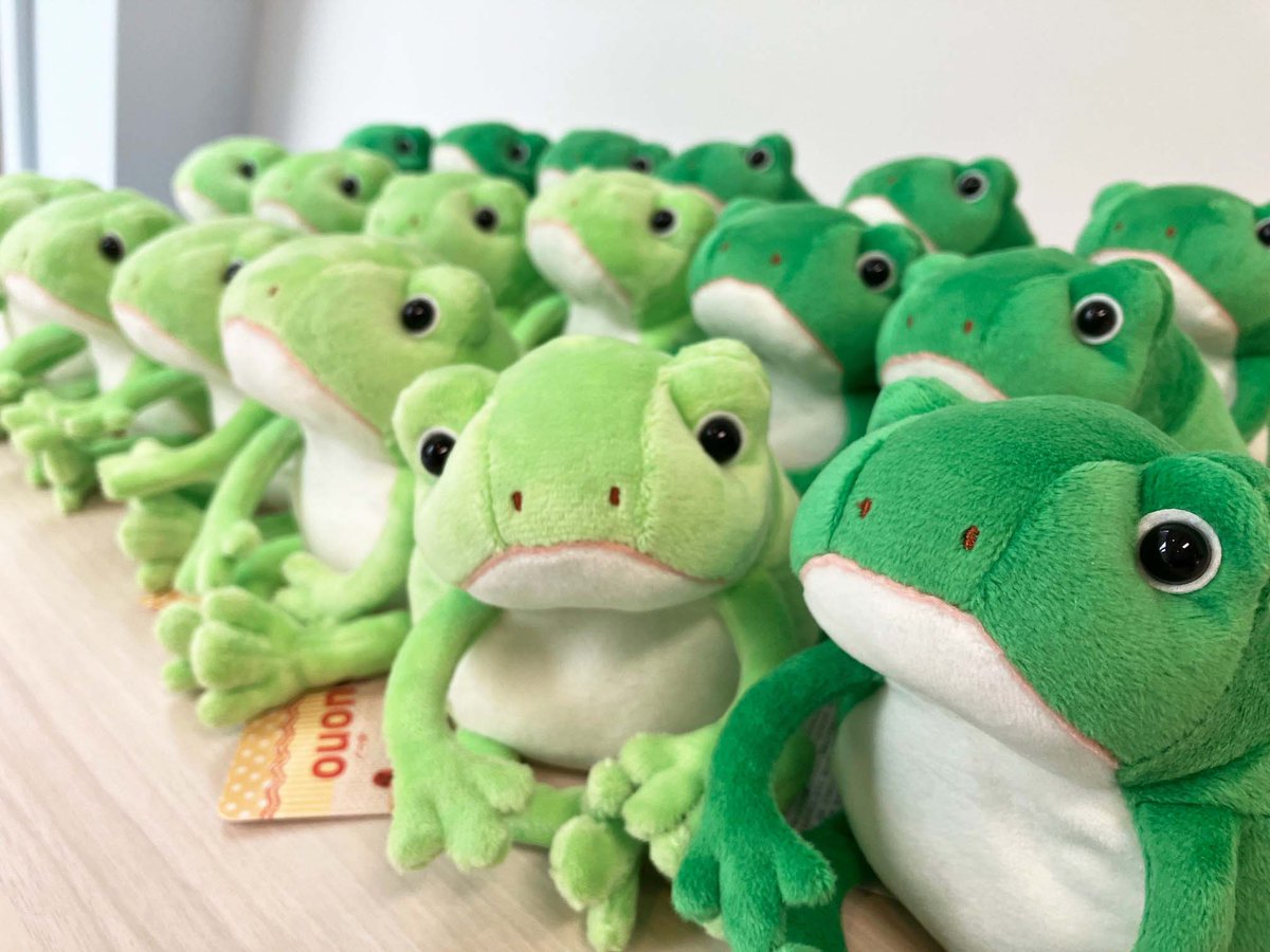 monseuil_staff's tweet photo. ぬいぐるみのボーノが発売しました!
ご予約いただきました皆様、誠にありがとうございます。現在ボーノ達が出発の準備をしております。順番にお手元にお届けしますので、もうしばらくお待ちくださいませ~。
https://t.co/oMEScF2Jp4
#MONSEUIL #モンスイユ #ぬいぐるみ #ぬい撮り #ボーノ #カエル https://t.co/jUmgnysBe9
