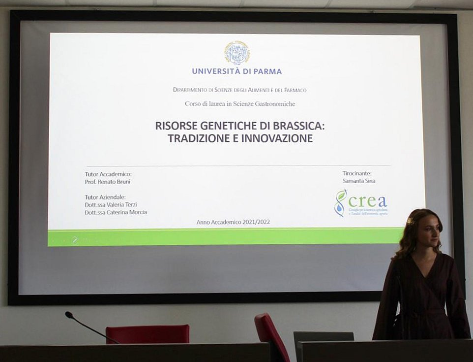 BrasExplor tweet media