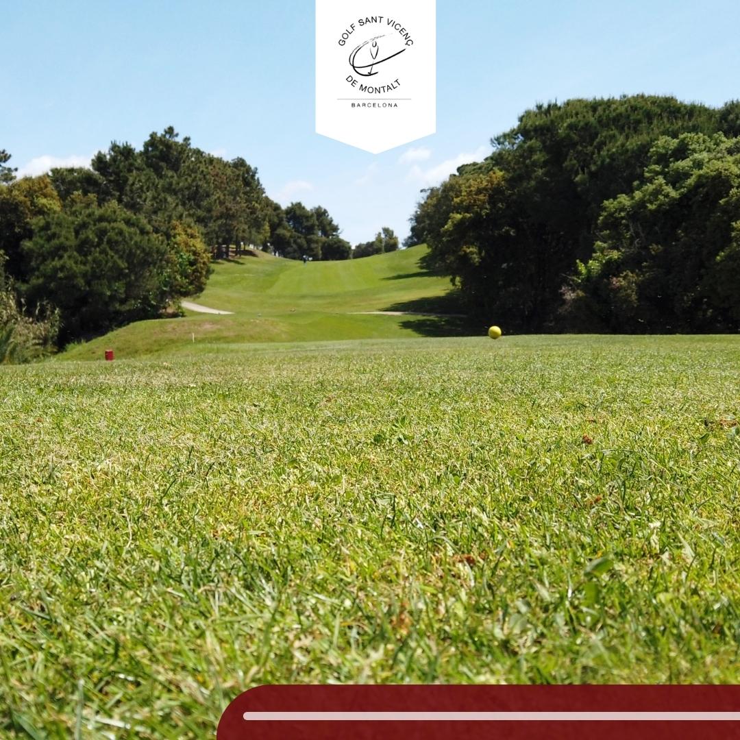 ⛳🏌️En nuestro club podrás disfrutar de una auténtica experiencia en plena naturaleza. 

🐶🌿La flora y fauna que en nuestro club cuidamos, hace posible un entorno único como salvaguarda de multitud de especies animales y vegetales.

#golf #barcelona #enjoy #sun #maresme