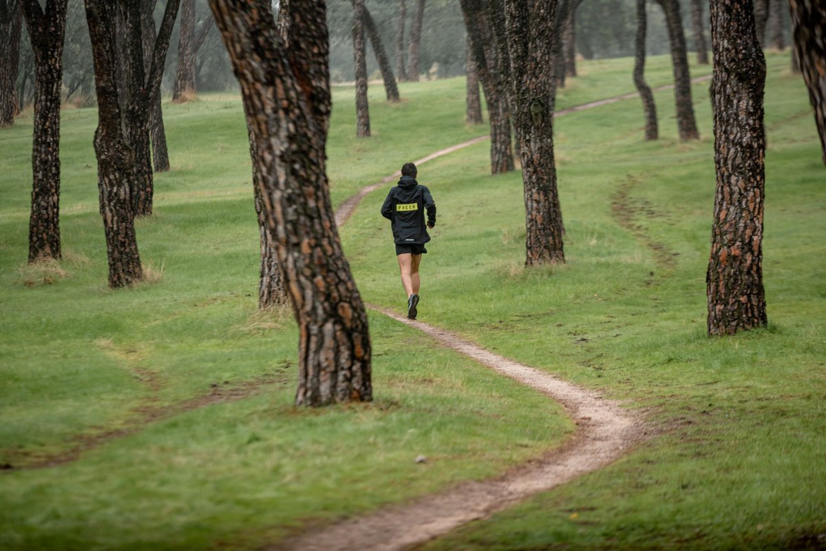 CORREDOR\ tweet media