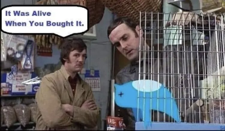 Kmaxtastic tweet media