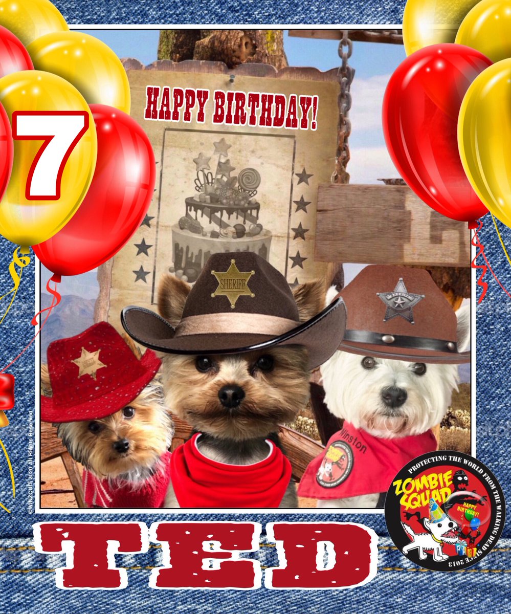 ZombieSquadHQ's tweet photo. 🎂Wishing a very 🎁HAPPY 7th BIRTHDAY🎉 to our pawsome pal, TED from Leada Billy &amp; your ZombieSquad pals. We hope your special day is full of tasty treats, belly rubs &amp; cayke, soldyer. RaaAAA!! 💜🎂🎁🎈🎉
@puppy_ted 
@ZSBirthday #ZSHQ https://t.co/KOl82pWoja